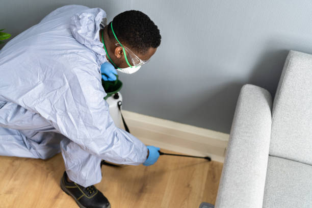 Best Real Estate Pest Inspections  in Audubon, NJ